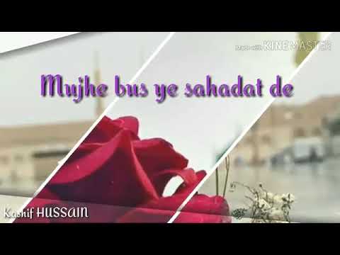 Na doulat na sarwat dae/Whatsapp status 2019/