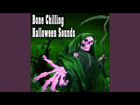 download lagu mp3 mp4 Hollywood Edge Evil Fx, download lagu Hollywood Edge Evil Fx gratis, unduh video klip Hollywood Edge Evil Fx