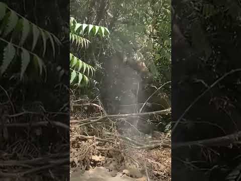 Fuga de gas en municipio Urumaco Estado Falcón—Venezuela