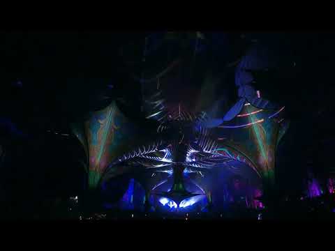 VooV Experience 2023 - Webra (full Set)