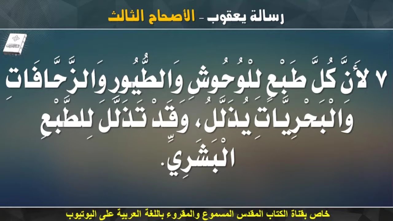 فيديو تفسير الكتاب المقدس | الكتاب المقدس رفيقي