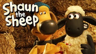 Download lagu Turf Wars | Shaun the Sheep Season 5 | Full Episode mp3