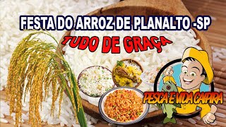 Festa do Arroz de Graça