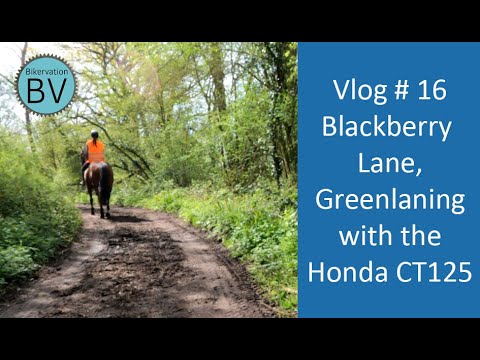 Bikervation - Honda CT125 Vlog #16 Greenlaning along Blackberry Lane with the  Hunter Cub.