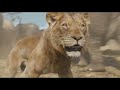 Elephant Stampede Part 2 Mufasa The Lion King 2024