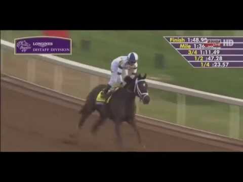 STOPCHARGINGMARIA - KEENELAND - USA - BREEDERS' CUP DISTAFF 2015