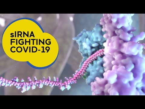 Running interference - how siRNA disrupts virus production in the body