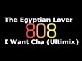 The Egyptian Lover  - I Want Cha (Ultimix)