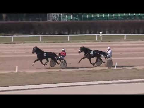 2023.03.04. 03. futam - IVORY BOY HENDIKEP