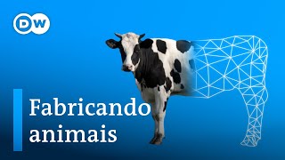 Miniatura do vídeo