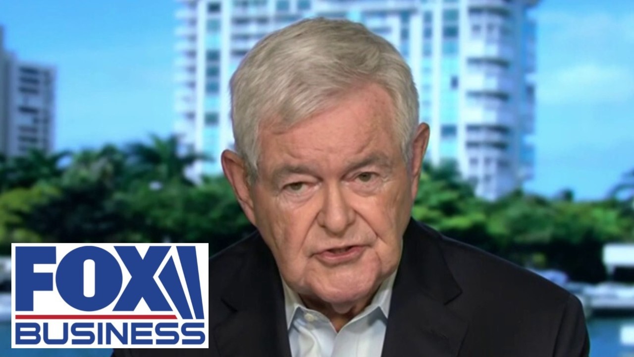 Gingrich: This DOES NOT WORK!