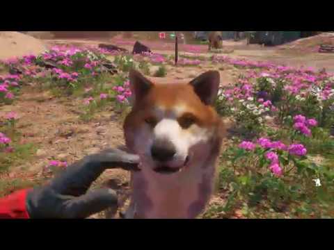 Far Cry New Dawn Timber