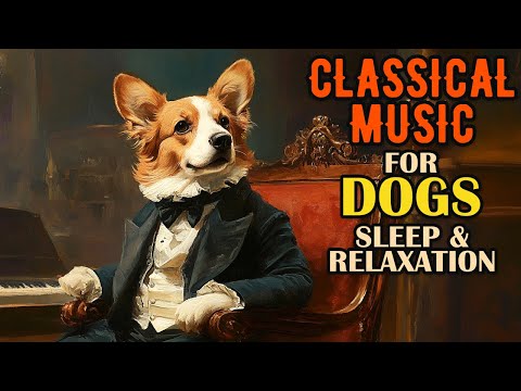 Music for Dogs - Classical Music for Dogs - Music for Dogs with Anxiety