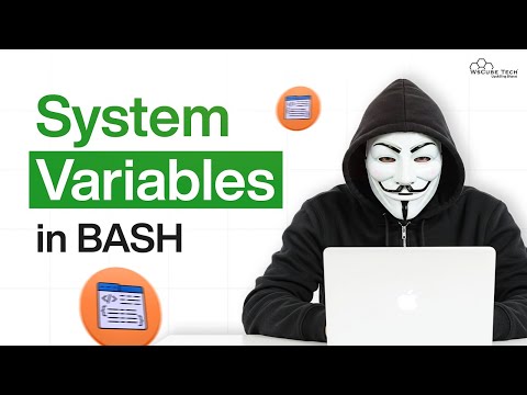 Intro to Shell Programming Easy Tutorial for Absolute Beginners
