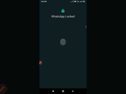 Using multilanguages in whatsapp