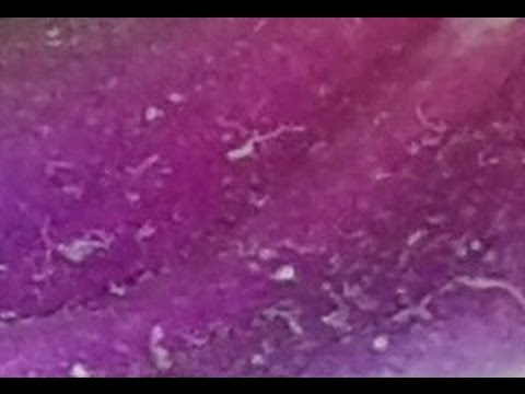 Nikola Pejaković & Lola Novaković - Haljinica Boje Lila