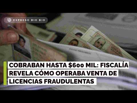 Cobraban hasta $600 mil: Fiscalía revela cómo operaba venta de licencias fraudulentas Alto Hospicio