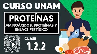 🌱 PROTEINS | UNAM COURSE | Amino acids | Organic molecules | Fibrous and complex