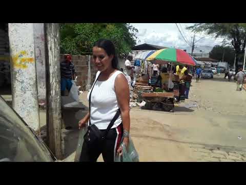 Música motivação autor Domingos Matias Jesus patez baraúna região Tremedal Bahia Mathyas YouTube 