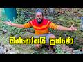 අපල කාලයක් ලබලද VLOG 354