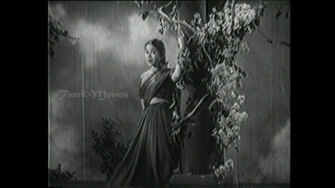 Chittu Pole Vaanagam Song Lyrics | Illara Jothi | Jikki, Chorus