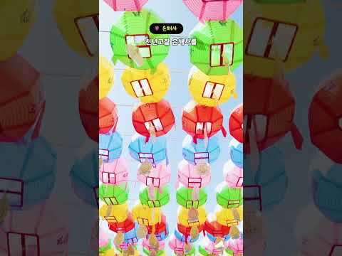 [2025 영천시 숏폼 콘텐츠 공모전 우수상 작품] 별이 빛나는 영천 - 황하진