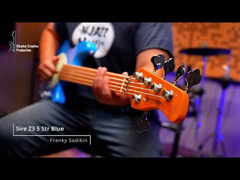 Comparison Sire Z3 5str & Ray 35 H, which one is your fave?