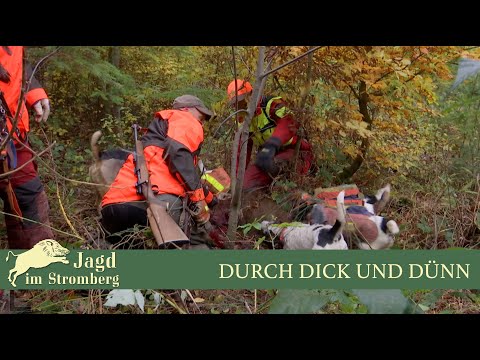 Durch Dick und Dünn