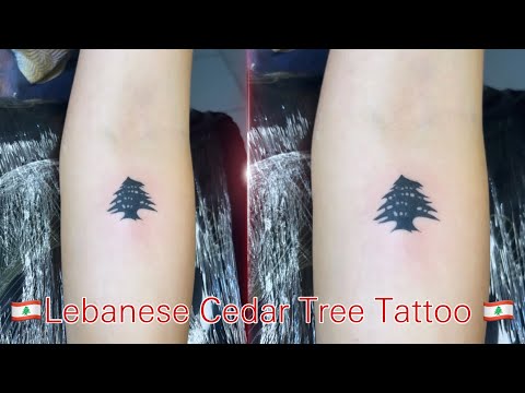 EP193 - Part1 - 🇱🇧Lebanese Cedar Tree Tattoo 🇱🇧