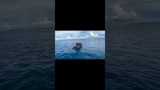 Download lagu Story'wa Keren TNI AL Terbaru #Shorts #Tni #AAL #Storywa #Casis mp3 Download lagu Story'wa Keren TNI AL Terbaru #Shorts #Tni #AAL #Storywa #Casis mp3