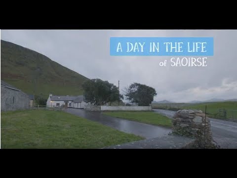 A Day in the Life of Saoirse in Ireland