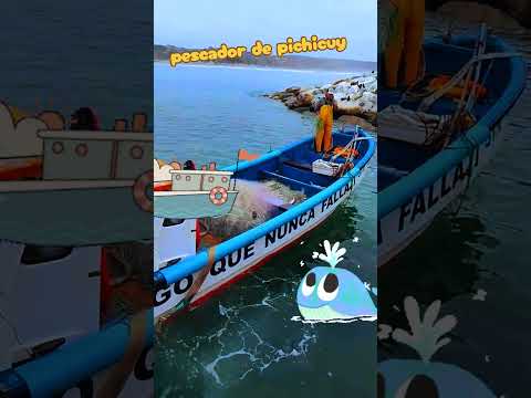Pescador de Pichicuy #chile #laligua #valparaiso #vregion #pescador #pesca