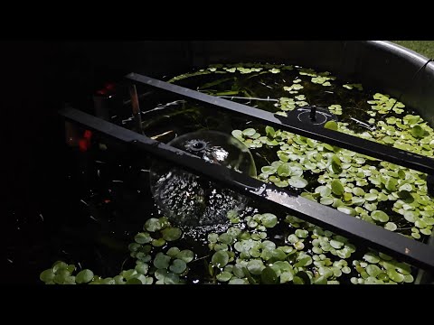 PopoSoap Solar Fountain | Filter | Backup Battery in Action | Final Thoughts