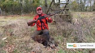 Je chasse avec la nouvelle SXR2 Winchester, nombreux tirs de sangliers