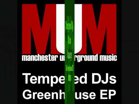 Tempered DJs - Disco Damage