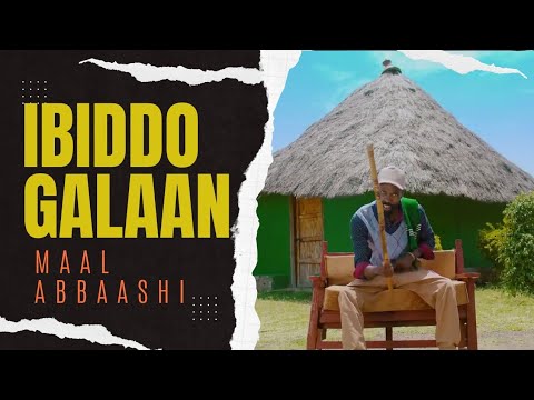 Ibiddo Galaan  | Maal Abbaashi | New Afaan Oromo Music