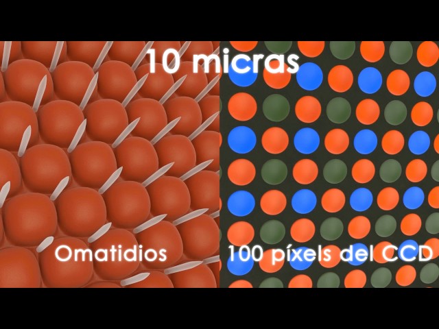 Vídeo relacionado con El nanomundo al descubierto: Un viaje a lo más profundo de la materia... y al futuro (Para curiosos)
