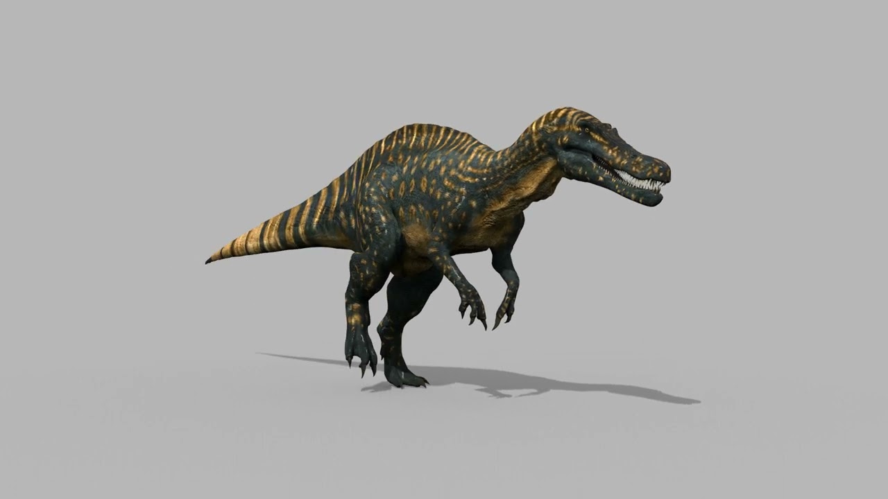Suchomimus animado real - 8K Modelo 3D