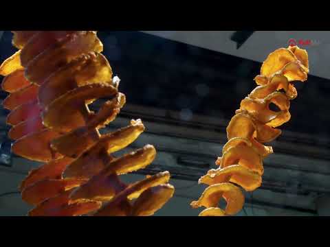 Taste of Indore, Ultimate Street food at Famous 56 Dukan, MP