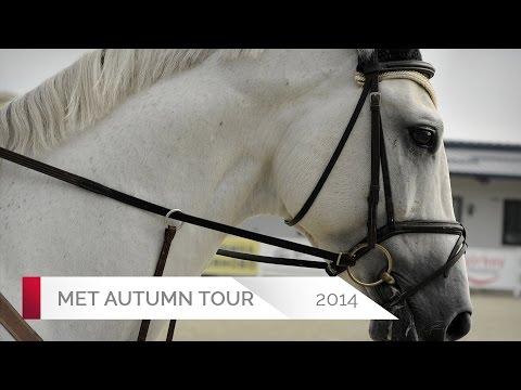 DON AURELIO 3 - Alisa Danilova - 5 Years - 1,20m - Valencia (28.10.2014)