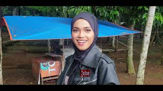 Download lagu ressa belusukan ke hutan lagi mp3