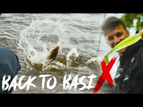 BACK TO BASIX | So fängt jeder ZANDER im FLUSS! (Mit Gewinnspiel)
