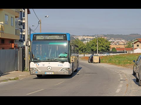 2106 STCP - Mercedes-Benz O530 Salvador Caetano CityGold MB 2KD - Linha / Line 805