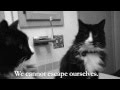 Thumbnail for &quot;Henri the Existential Cat&quot;