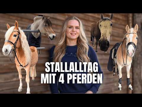 A DAILY DAY IN THE STABLES WITH 4 HORSES 🤯