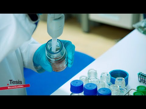 Fotograma del vídeo: Biocombustibles a partir del olivar