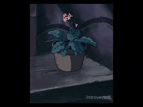 Abigail Liddle - Love Someone (sped up)