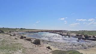 26 Marzo 2026: Les Arnettes, Bouches du Rhône, La Côte Bleue, France
