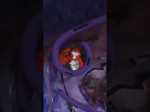 what a great game @_GorillaTagVR  has given us...  #gorillatag #vr #gtag