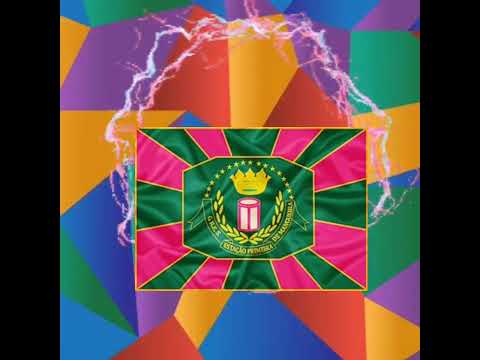 Estação primeira de Mangueira 1981 🩷💚